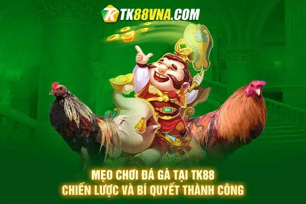 Mẹo chơi đá gà tại TK88 Chiến lược và bí quyết thành công