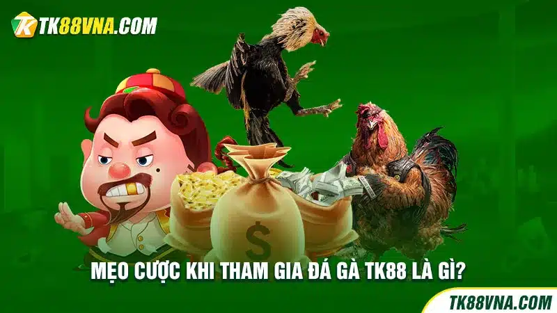 Mẹo cược khi tham gia đá gà TK88 là gì