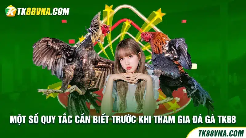 Một số quy tắc cần biết trước khi tham gia đá gà TK88