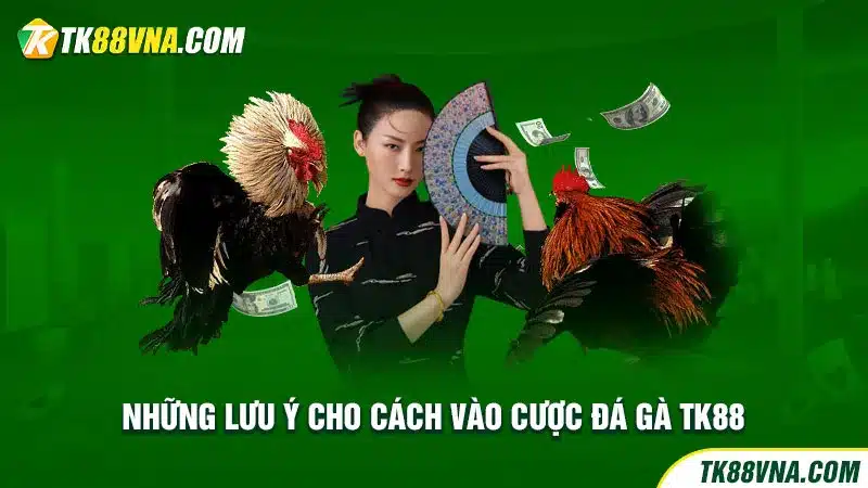 Những lưu ý cho cách vào cược đá gà TK88