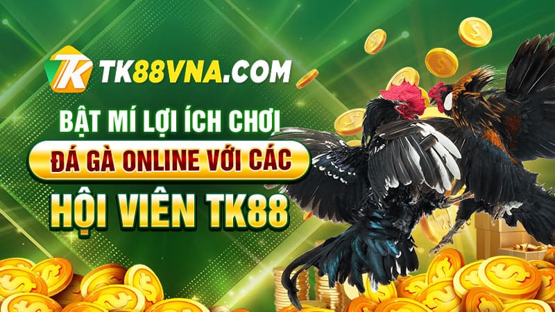 Bật mí lợi ích chơi đá gà online với các hội viên TK88