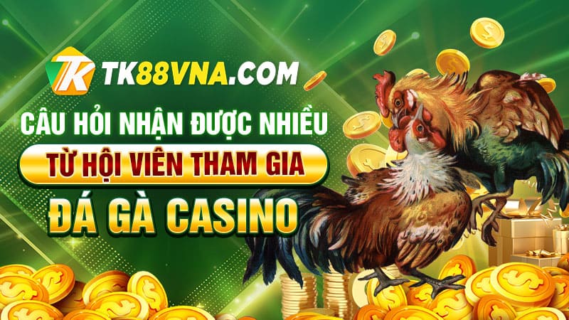 Câu hỏi nhận được nhiều từ hội viên tham gia đá gà casino