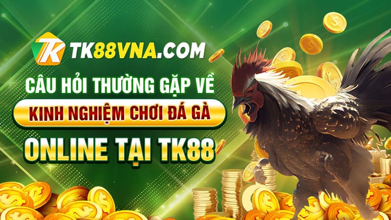 Câu hỏi thường gặp về kinh nghiệm chơi đá gà online tại TK88