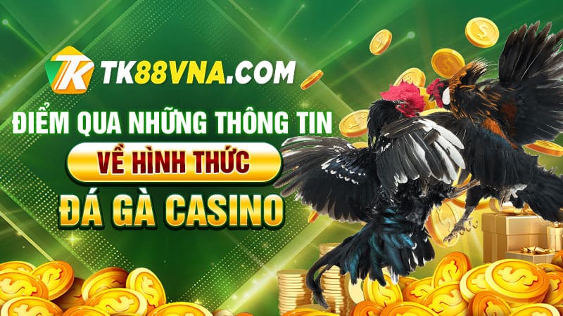 Điểm qua những thông tin về hình thức đá gà casino