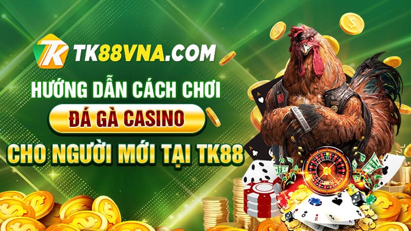 Hướng dẫn cách chơi đá gà casino cho người mới tại TK88