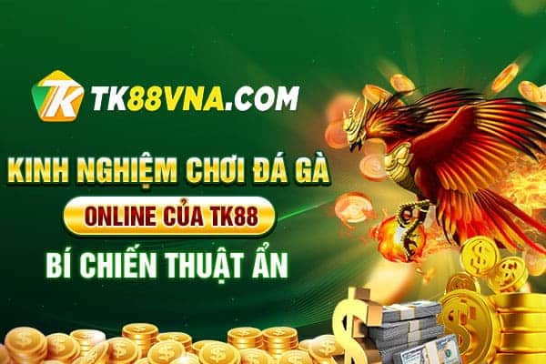 Kinh nghiệm chơi đá gà online của TK88 - Bí chiến thuật ẩn