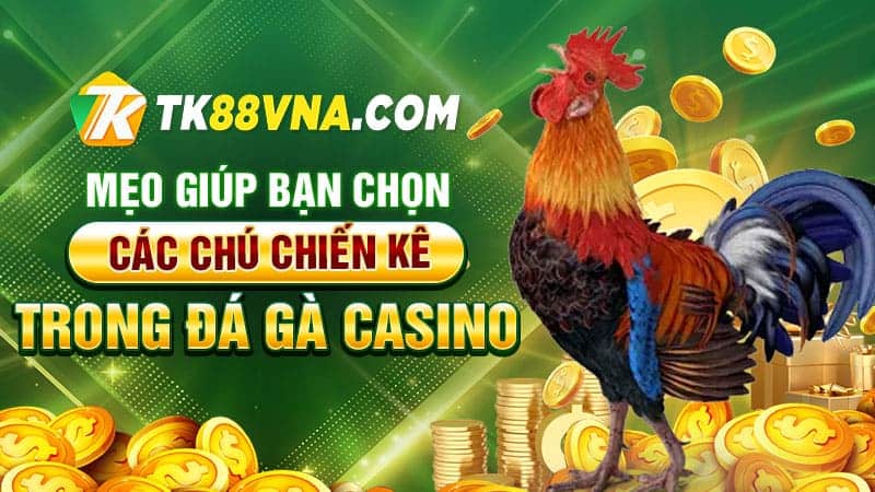 Mẹo giúp bạn chọn các chú chiến kê trong đá gà casino